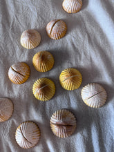 Load image into Gallery viewer, Maamoul Name Card Holders