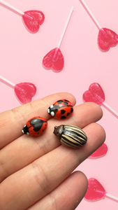 Love Bugs!