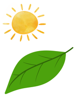 Load image into Gallery viewer, Magnetic Story Kit
